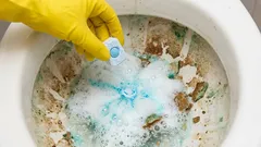 Il WC si pulirà dai calcoli urinari in un'ora: un metodo rapido con le pastiglie per lavastoviglie