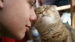  Come fa un gatto a decidere chi ama di più