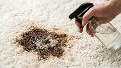 Le macchie e le striature sul tappeto spariranno senza lasciare traccia: un modo semplice senza ricorrere al lavaggio a secco.