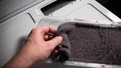 Prima di buttarlo via, scopri come riutilizzare la lanugine dell'asciugatrice in giardino