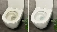 Due pastiglie per mezzo litro d'acqua, e anche i WC più vecchi torneranno a brillare come nuovi.