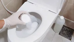 Il WC si pulirà da incrostazioni e ruggine senza alcuno sforzo in soli 15 minuti: un metodo che non richiede l'intervento di un tecnico né costi elevati